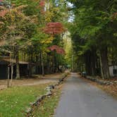 Review photo of Elkmont Campground — Great Smoky Mountains National Park by Myron C., June 17, 2019