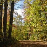 Review photo of Elkmont Campground — Great Smoky Mountains National Park by Myron C., June 17, 2019