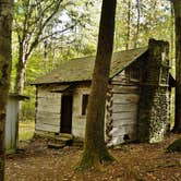 Review photo of Elkmont Campground — Great Smoky Mountains National Park by Myron C., June 17, 2019