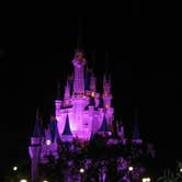 Review photo of Disney’s Fort Wilderness Resort & Campground by Leasa W., September 1, 2016