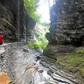 Review photo of Watkins Glen State Park Campground by Brian H., August 31, 2016