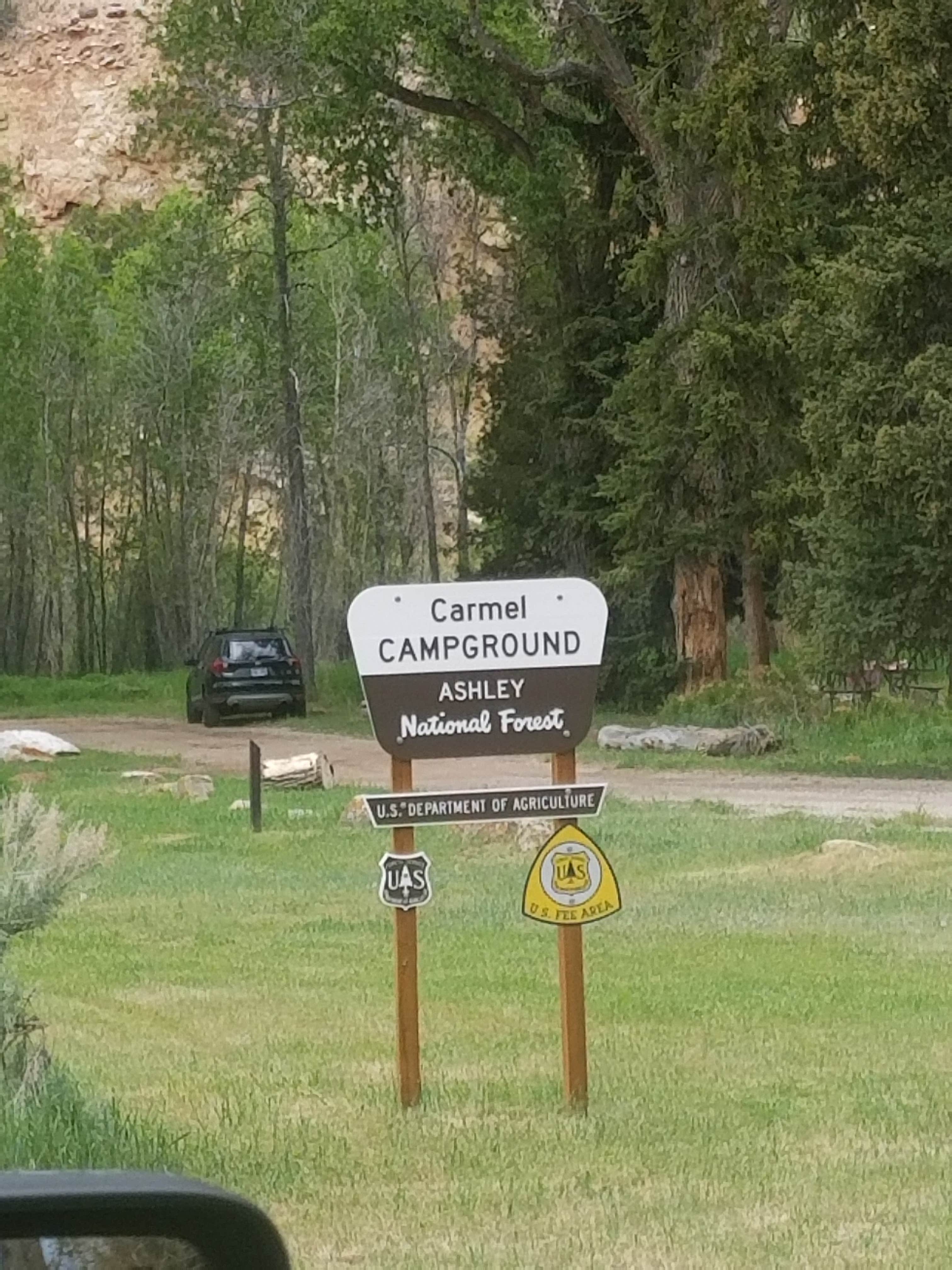 Camper submitted image from Carmel Campground - Ashley National Forest - 2