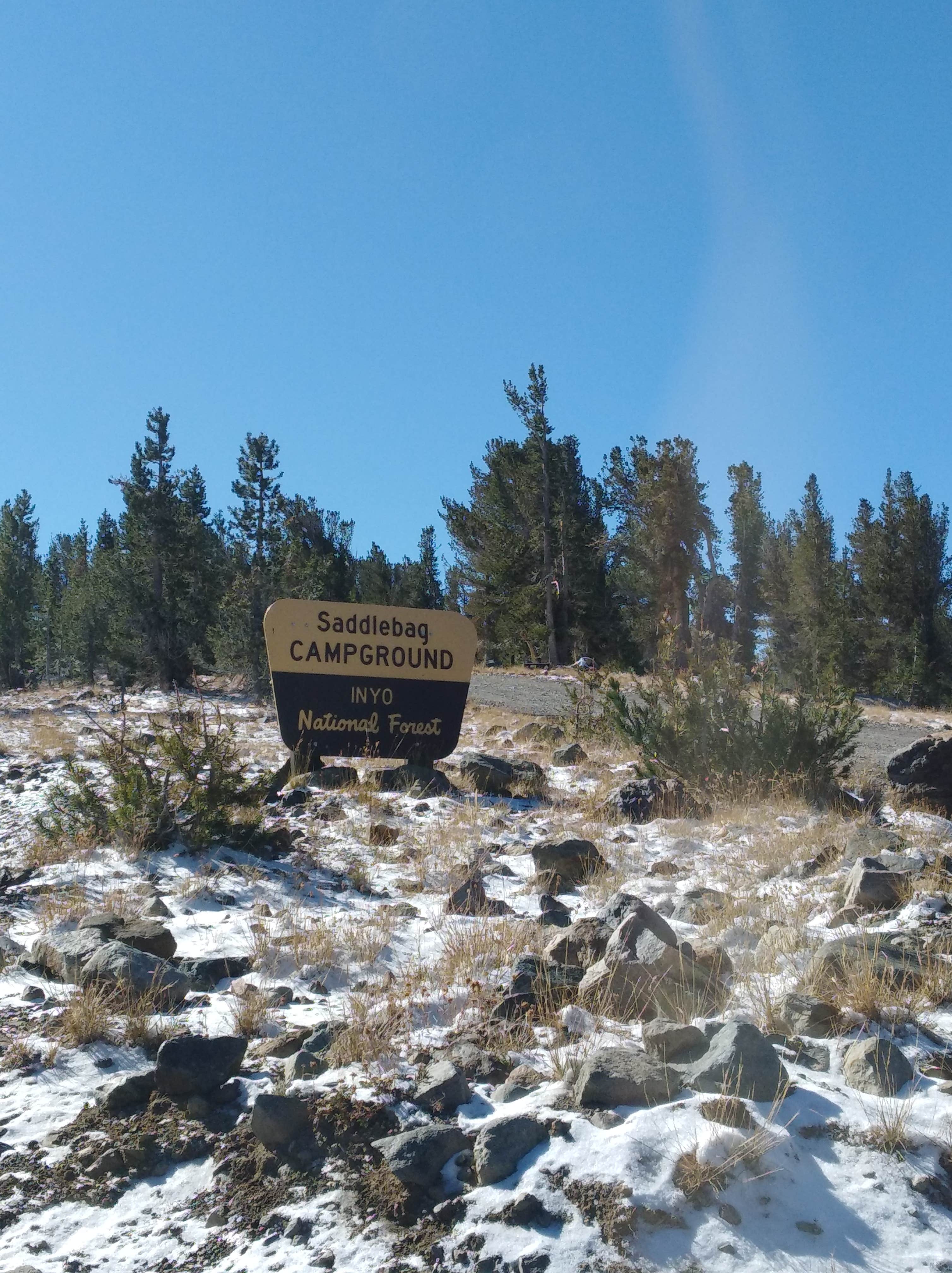 Saddlebag Lake Campground