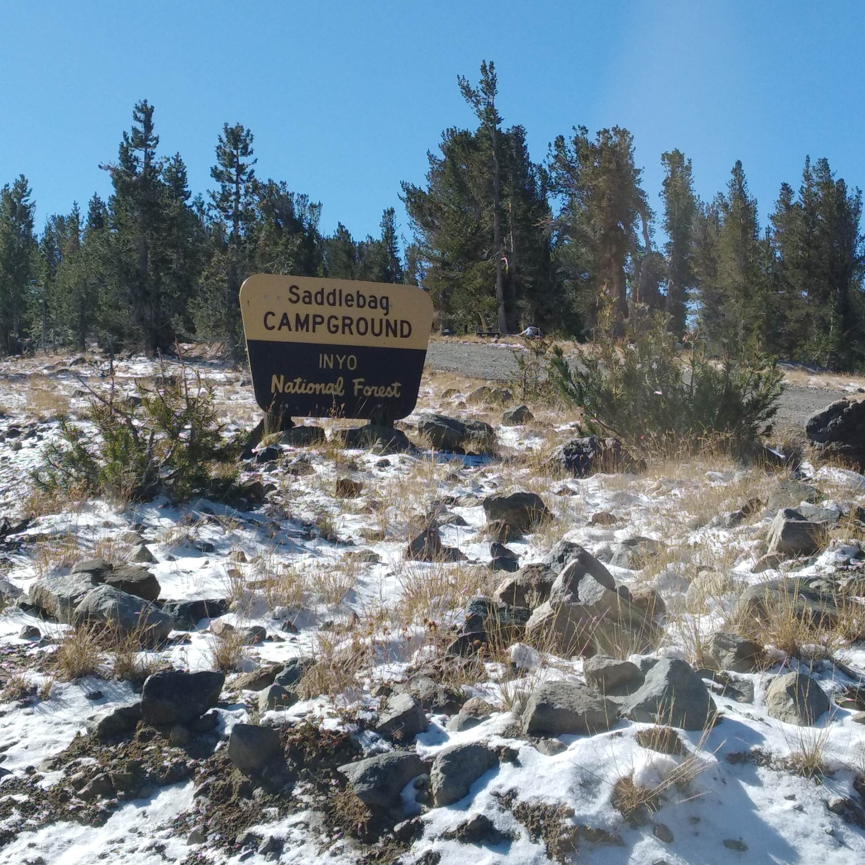 Saddlebag Lake Campground Camping The Dyrt