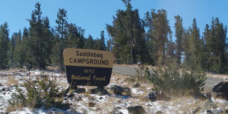 Camper submitted image from Saddlebag Lake Campground