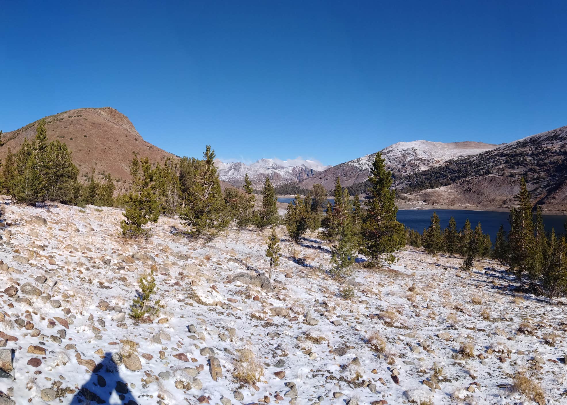 Saddlebag Lake Campground Camping The Dyrt