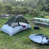Review photo of Hosmer Grove Campground — Haleakalā National Park by Jordan T., June 17, 2019