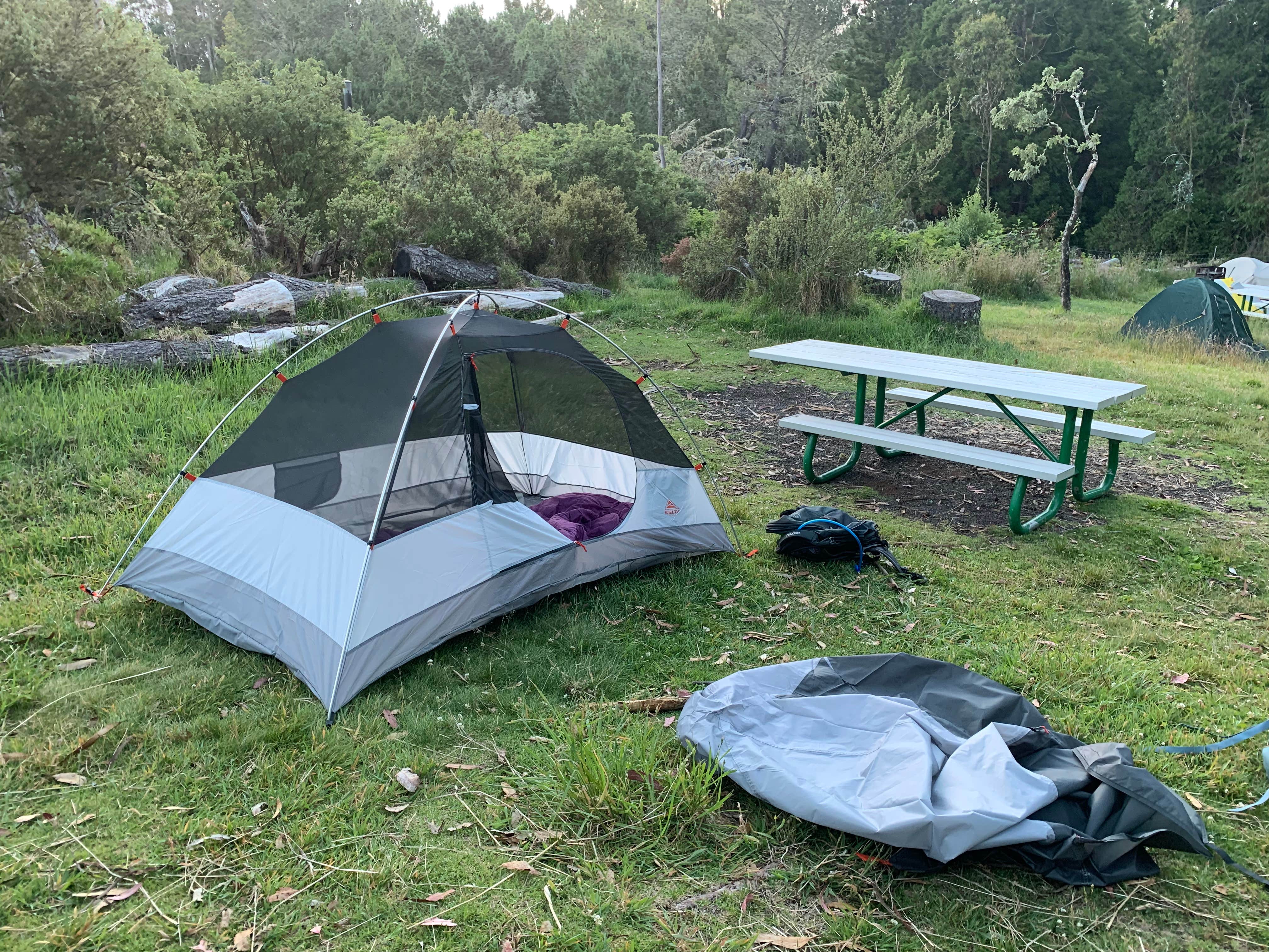 Camper submitted image from Hosmer Grove Campground — Haleakalā National Park - 2
