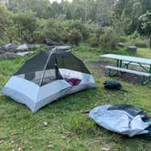 Review photo of Hosmer Grove Campground — Haleakalā National Park by Jordan T., June 17, 2019