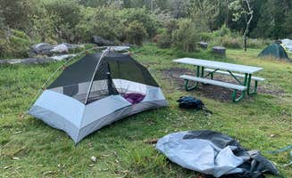 Jordan T.'s photo at Hosmer Grove Campground — Haleakalā National Park near Lahaina, HI