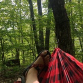 Review photo of Beartown State Forest by Jared D., June 6, 2019