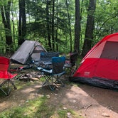 Review photo of Beartown State Forest by Jared D., June 6, 2019