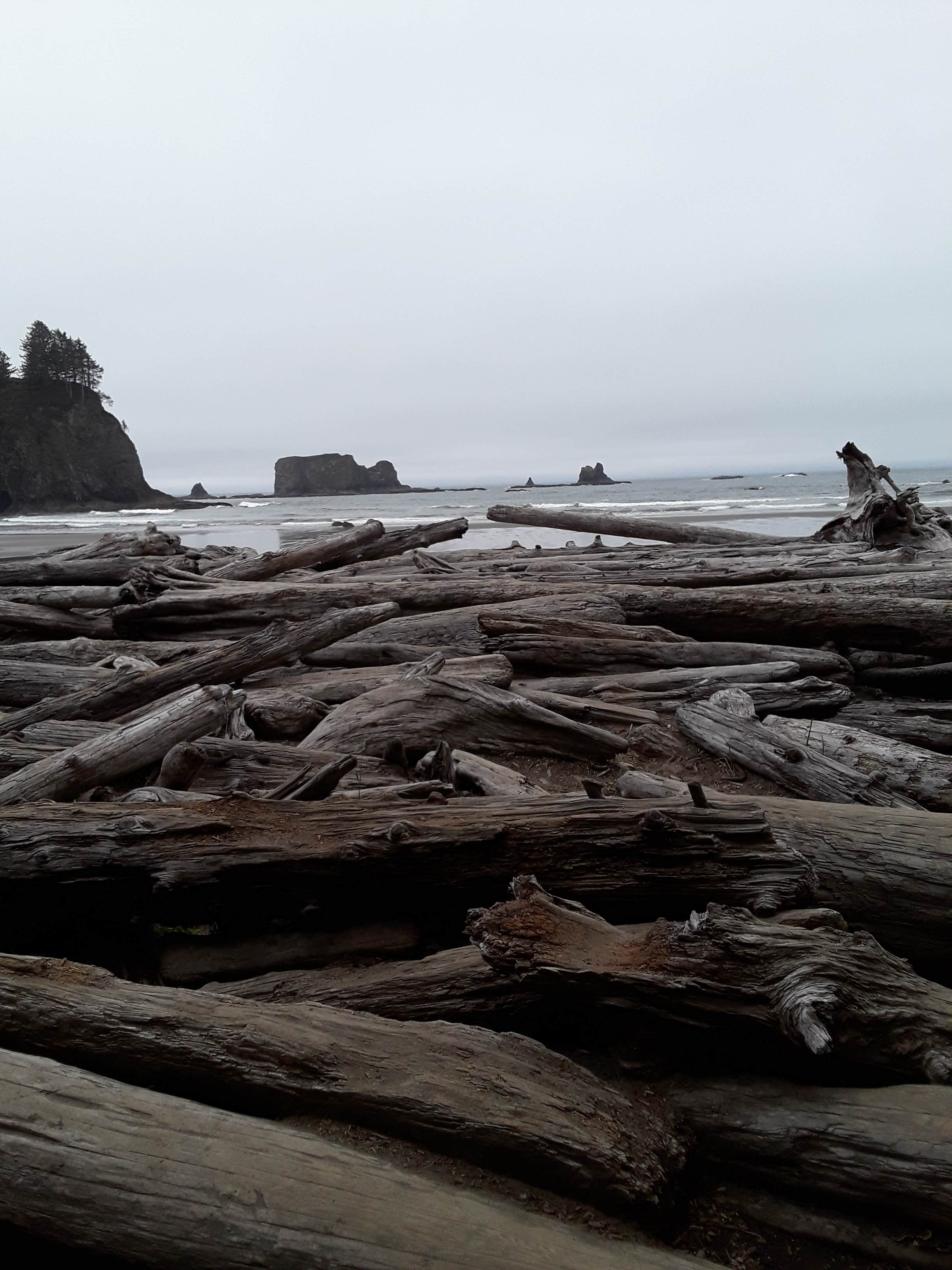 Camper-submitted photo at Mora Campground — Olympic National Park in Washington