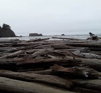 Camper-submitted photo from Fairholme Campground — Olympic National Park