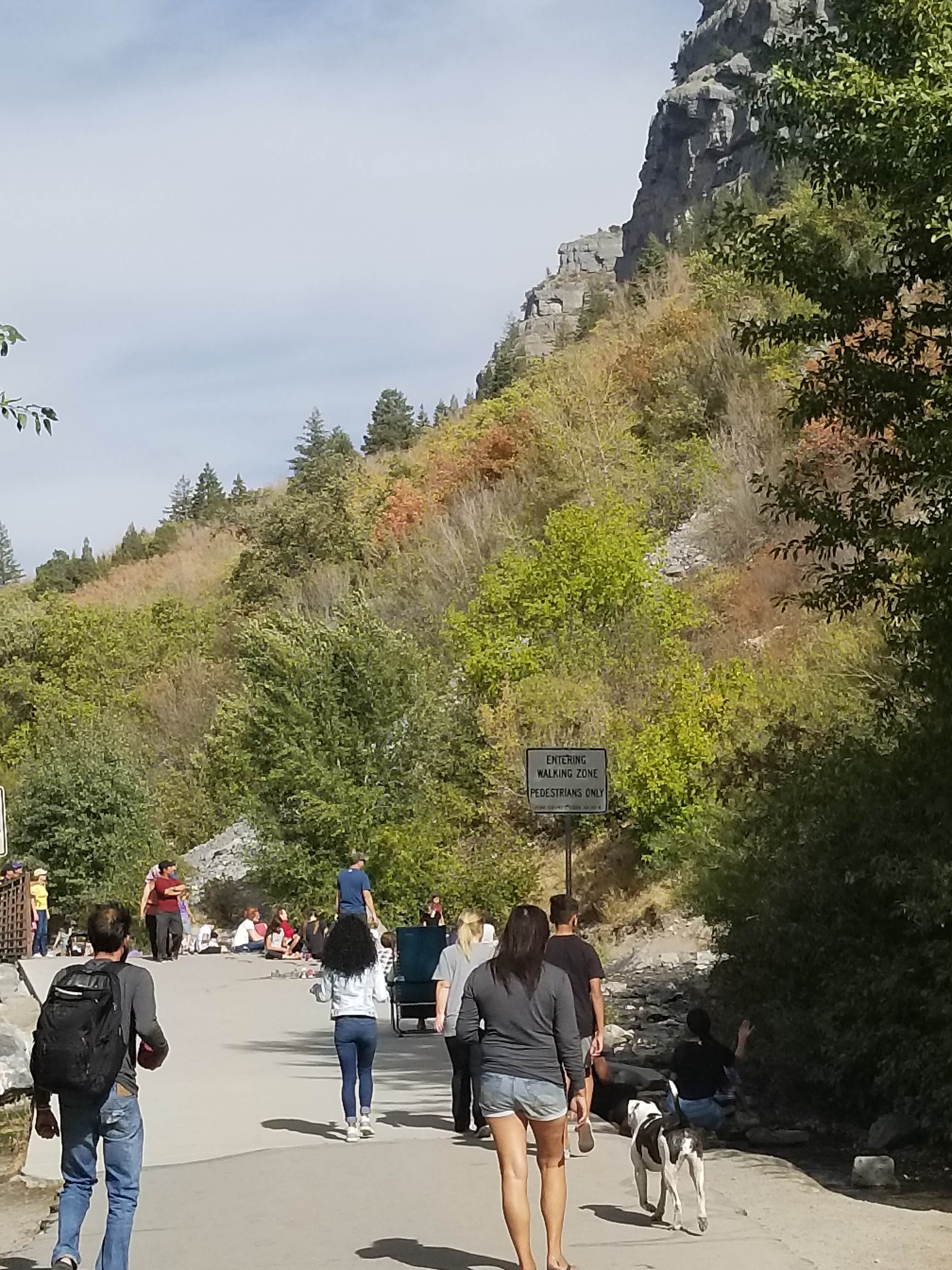 Brad B.'s photo of camping with pets at Nunns Park near Snowbird, UT
