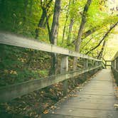 Review photo of Starved Rock Campground — Starved Rock State Park by Meg  S., September 1, 2015