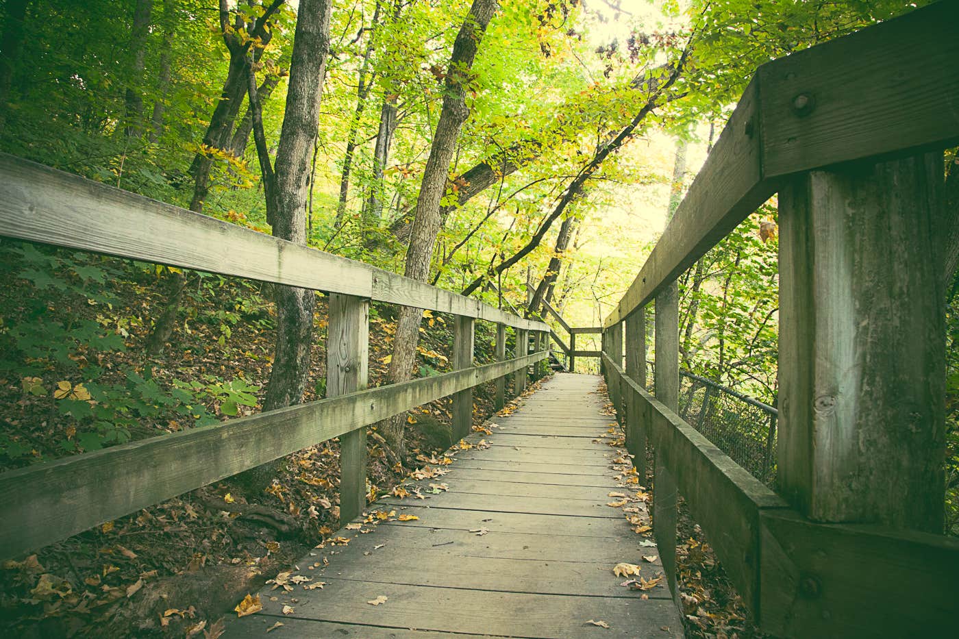 Camper submitted image from Starved Rock Campground — Starved Rock State Park - 3
