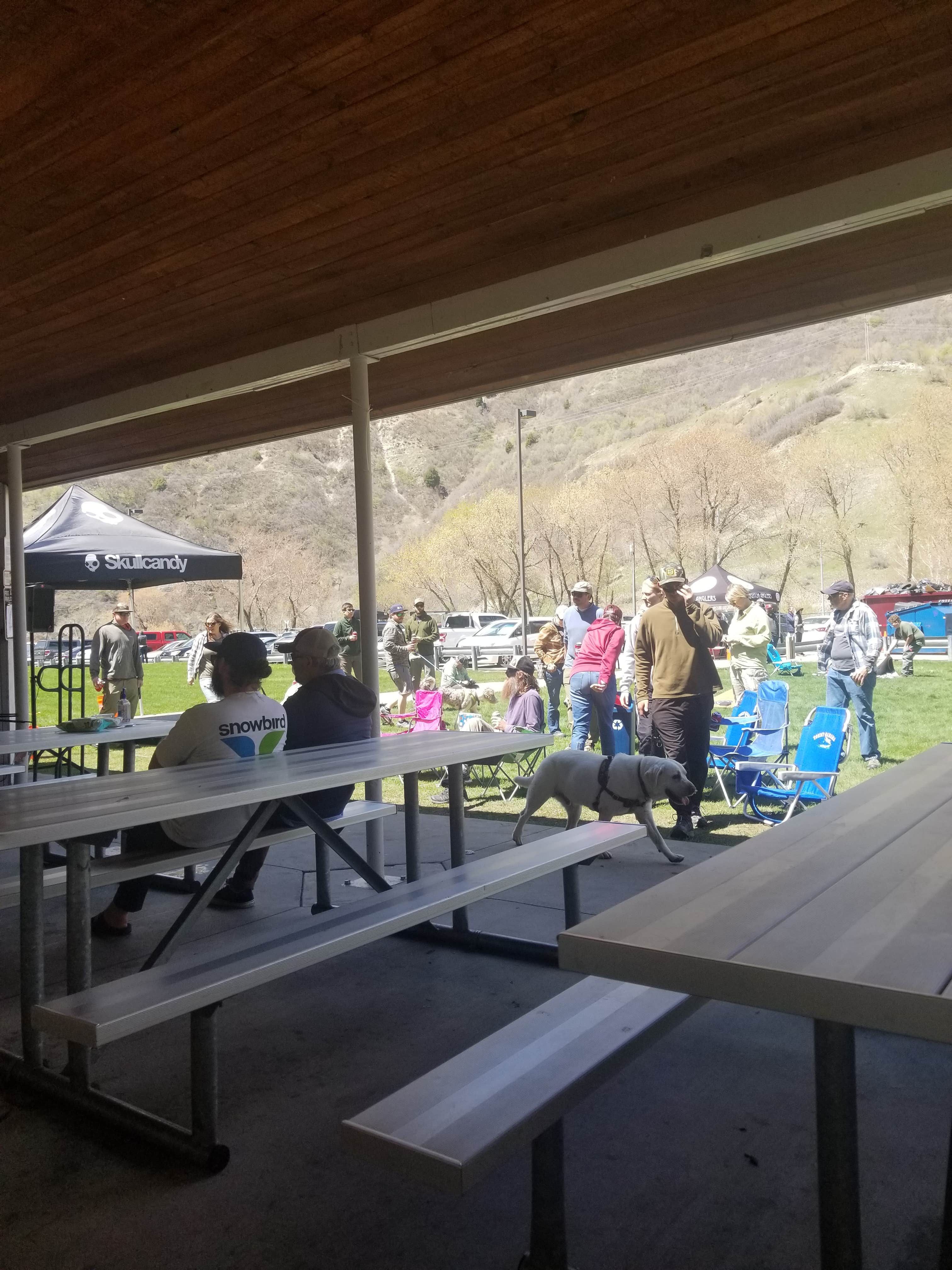 Camper-submitted photo at Nunns Park near Wallsburg, UT