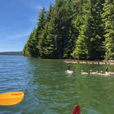 Review photo of Clackamas Lake by Thomas B., June 17, 2019