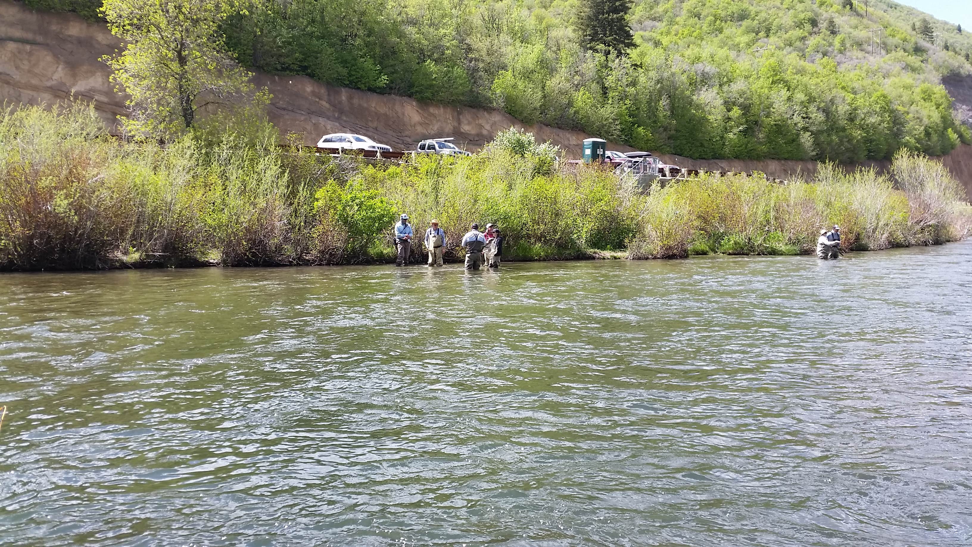 Camper-submitted photo at Nunns Park near Wallsburg, UT
