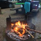 Review photo of Mora Campground — Olympic National Park by Jerry S., June 17, 2019