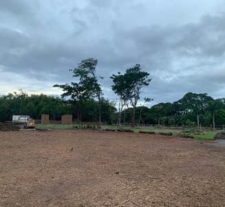 Camper-submitted photo from Hosmer Grove Campground — Haleakalā National Park