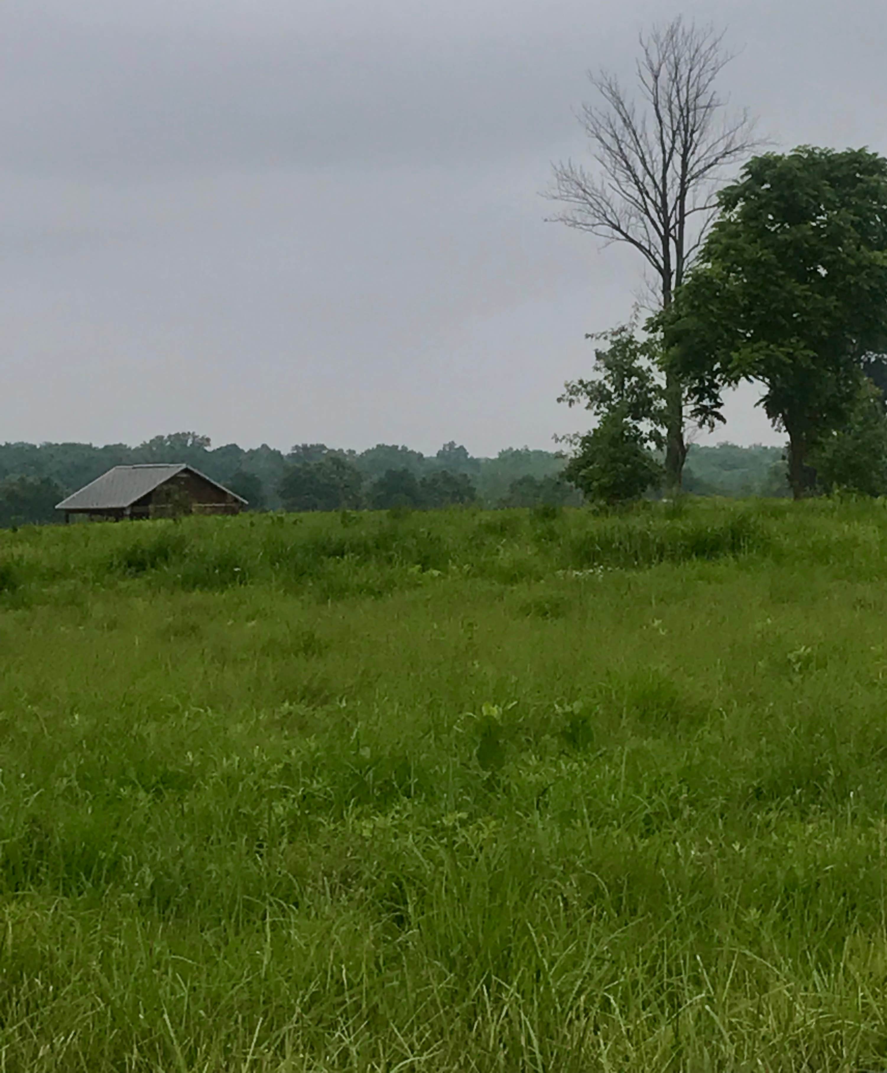 Camper submitted image from Prophetstown State Park Campground - 3