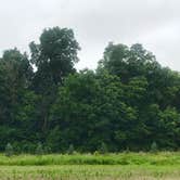 Review photo of Prophetstown State Park Campground by Nicole P., June 17, 2019