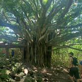 Review photo of Kīpahulu Campground — Haleakalā National Park by Jordan T., June 17, 2019