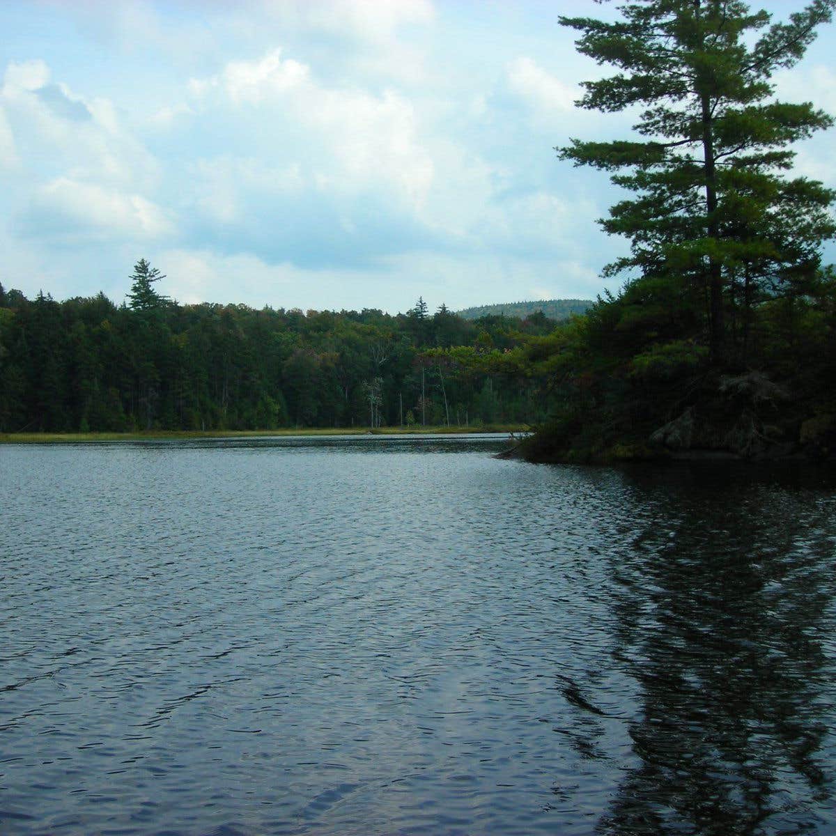 Escape To Adirondack Magic: Your Guide To Poke-O-Moonshine Campground