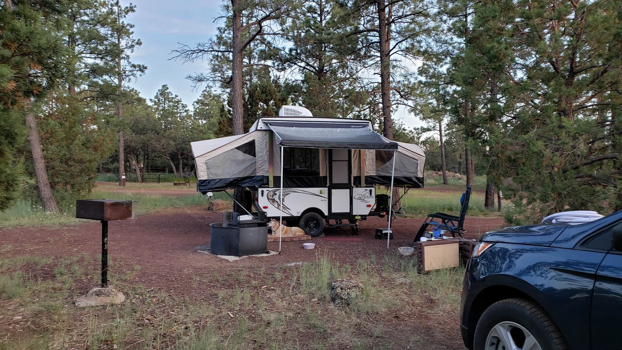 Brenda H.'s photo at Show Low Lake Campground near McNary, AZ