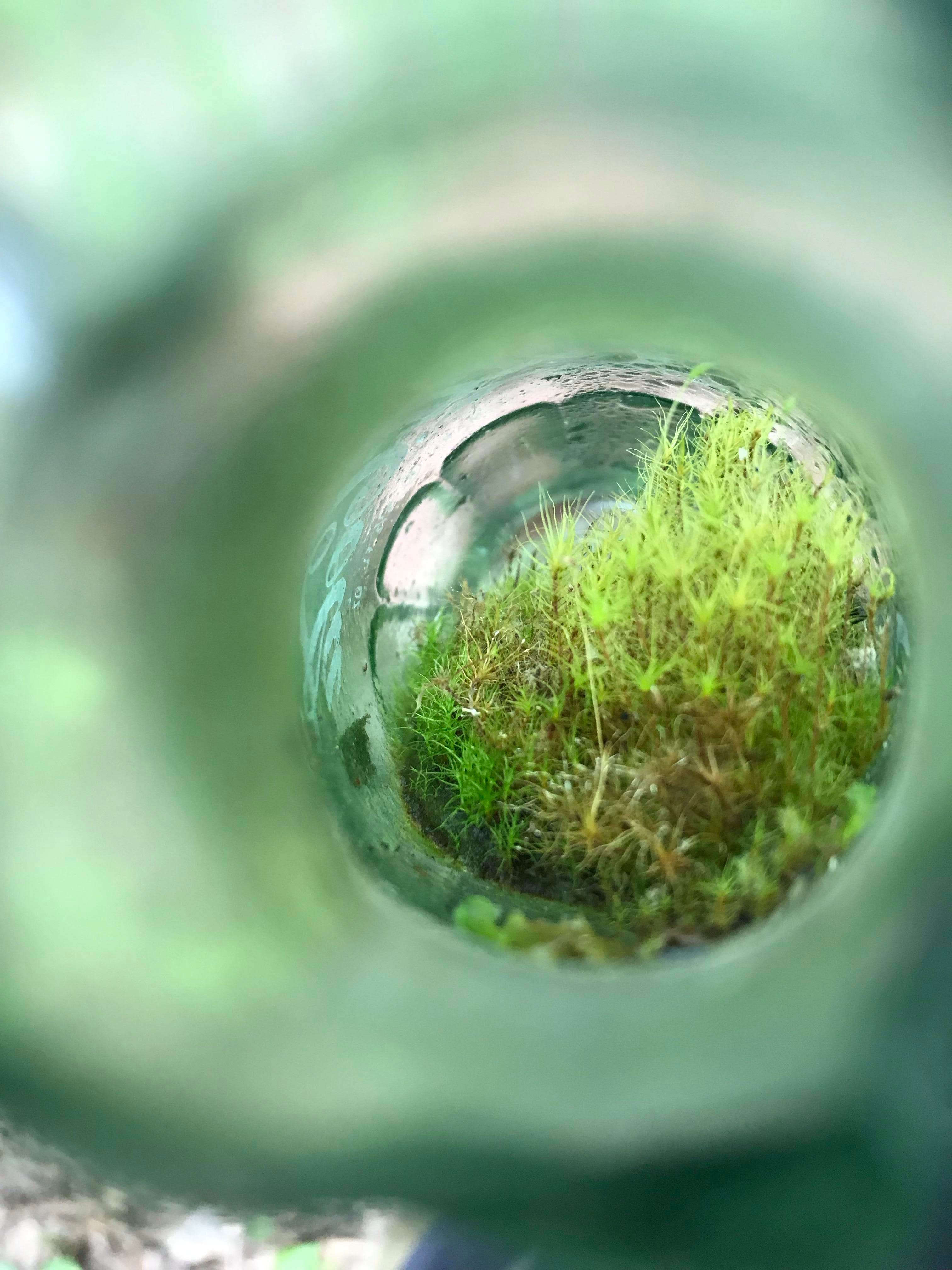 Camper-submitted photo at South Harrison Co Park near Fort Knox, KY