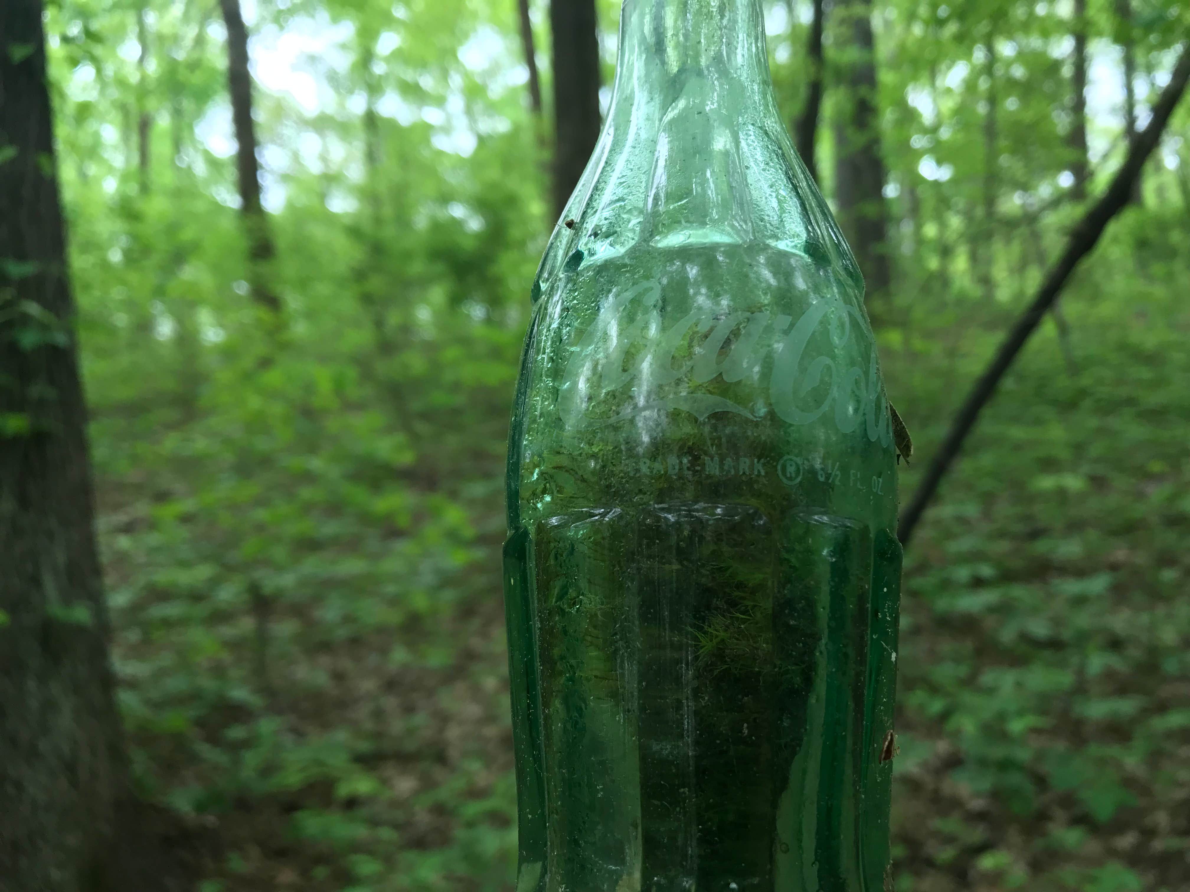 Camper-submitted photo at South Harrison Co Park near Fort Knox, KY