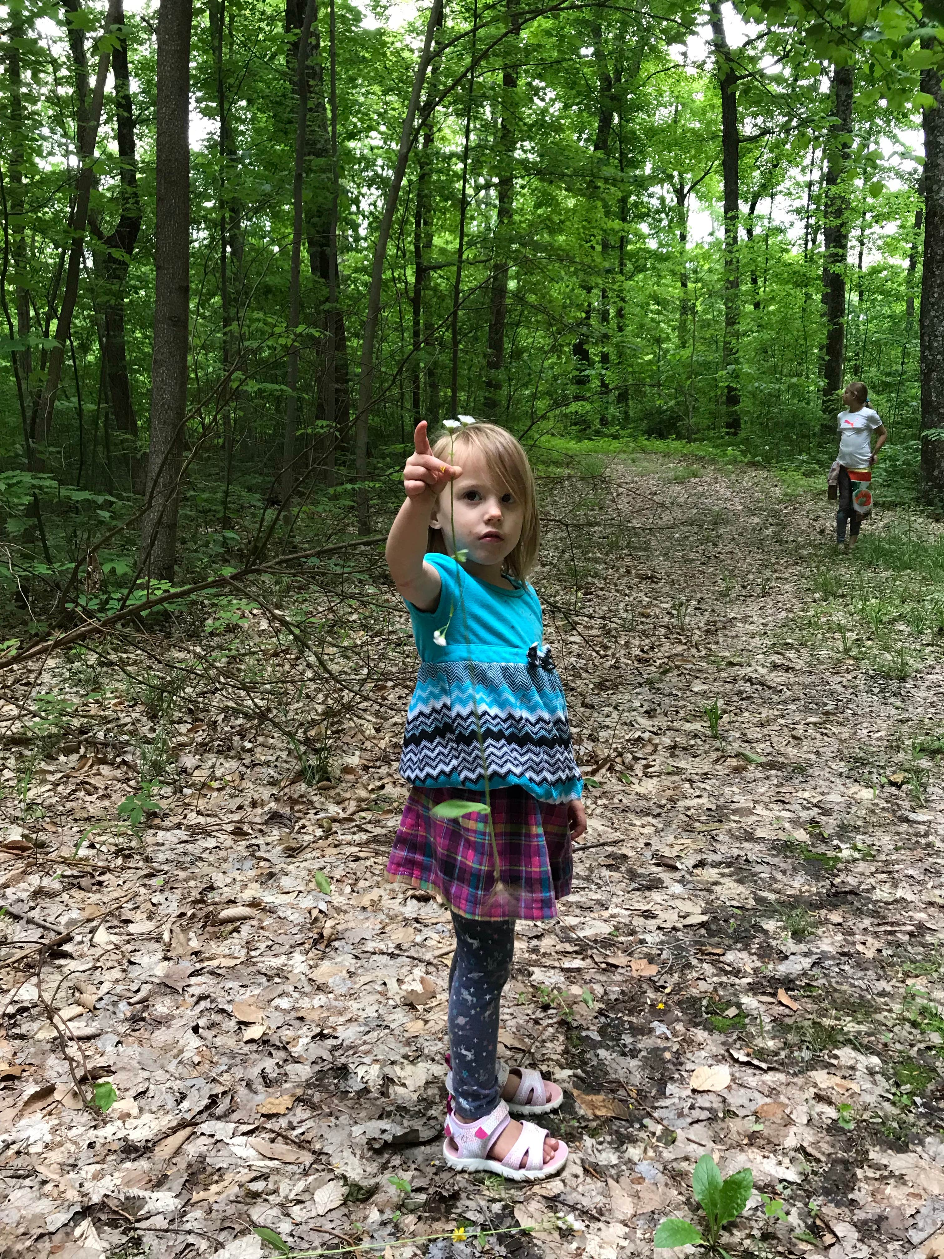 Camper-submitted photo at South Harrison Co Park near Fort Knox, KY