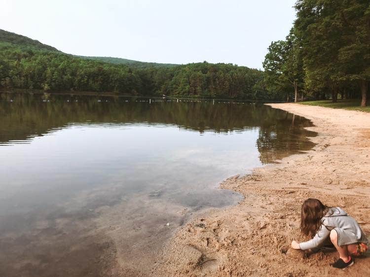 Tuscarora State Park Camping The Dyrt