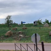 Review photo of Cheyenne Mountain State Park Campground by Joyce H., June 18, 2019