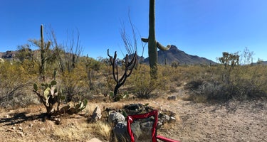 Tucson Mountain RV Park