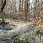 Review photo of Lake Curriher Wilderness by Shawn R., June 18, 2019