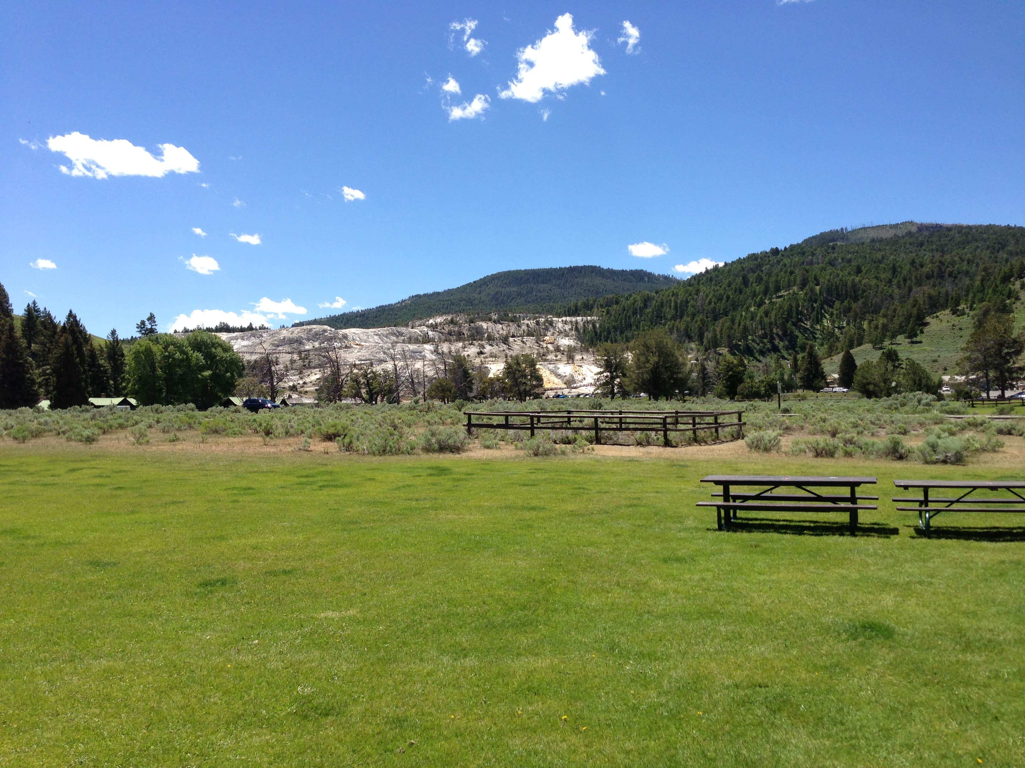 Camper submitted image from Mammoth Campground — Yellowstone National Park - 4