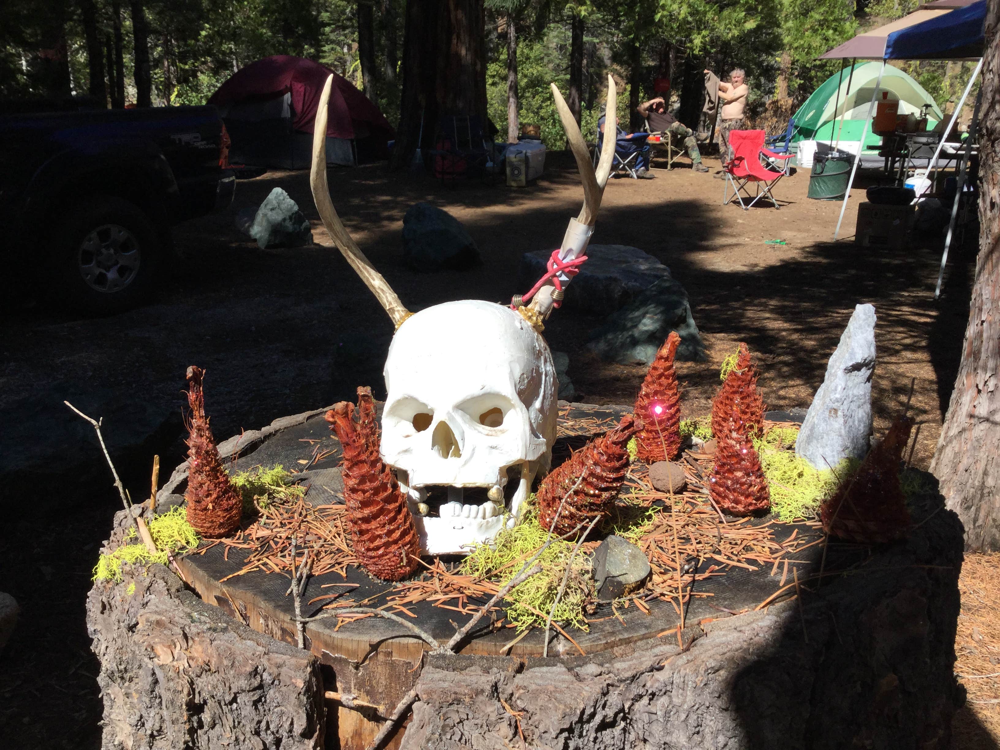 Stephen K.'s photo at Middle Fork Cosumnes Campground near Eldorado National Forest