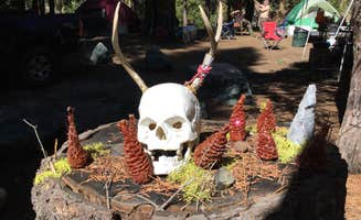 Stephen K.'s photo at Middle Fork Cosumnes Campground near Grizzly Flats, CA