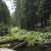 Review photo of Middle Fork Cosumnes Campground by Stephen K., June 18, 2019