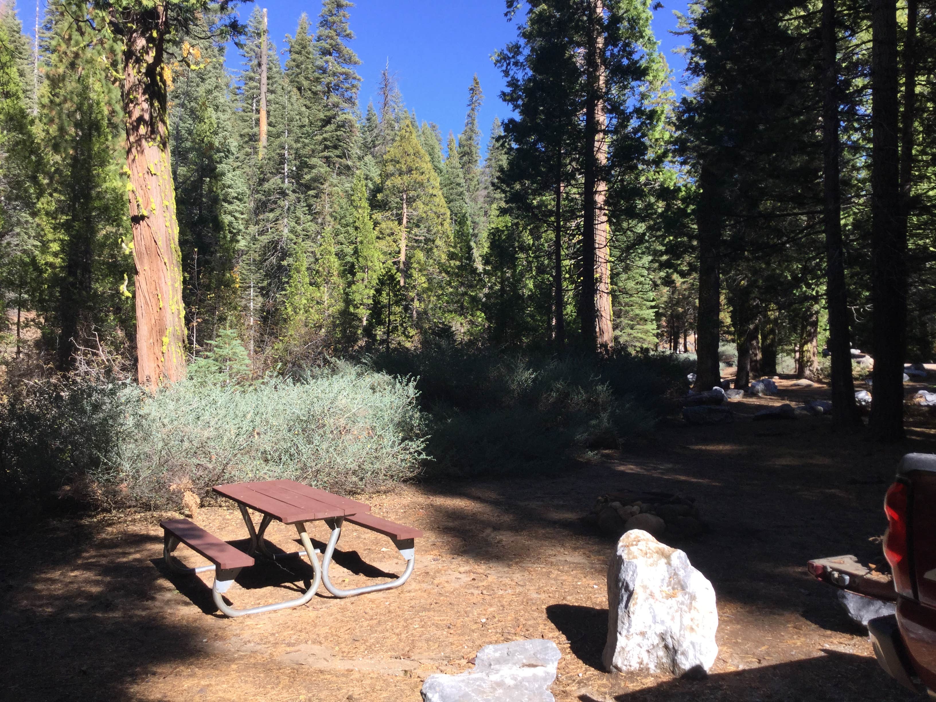 Camper submitted image from Middle Fork Cosumnes Campground - 1