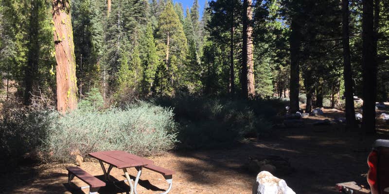 Camper submitted image from Middle Fork Cosumnes Campground