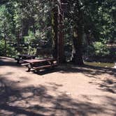 Review photo of Middle Fork Cosumnes Campground by Stephen K., June 18, 2019