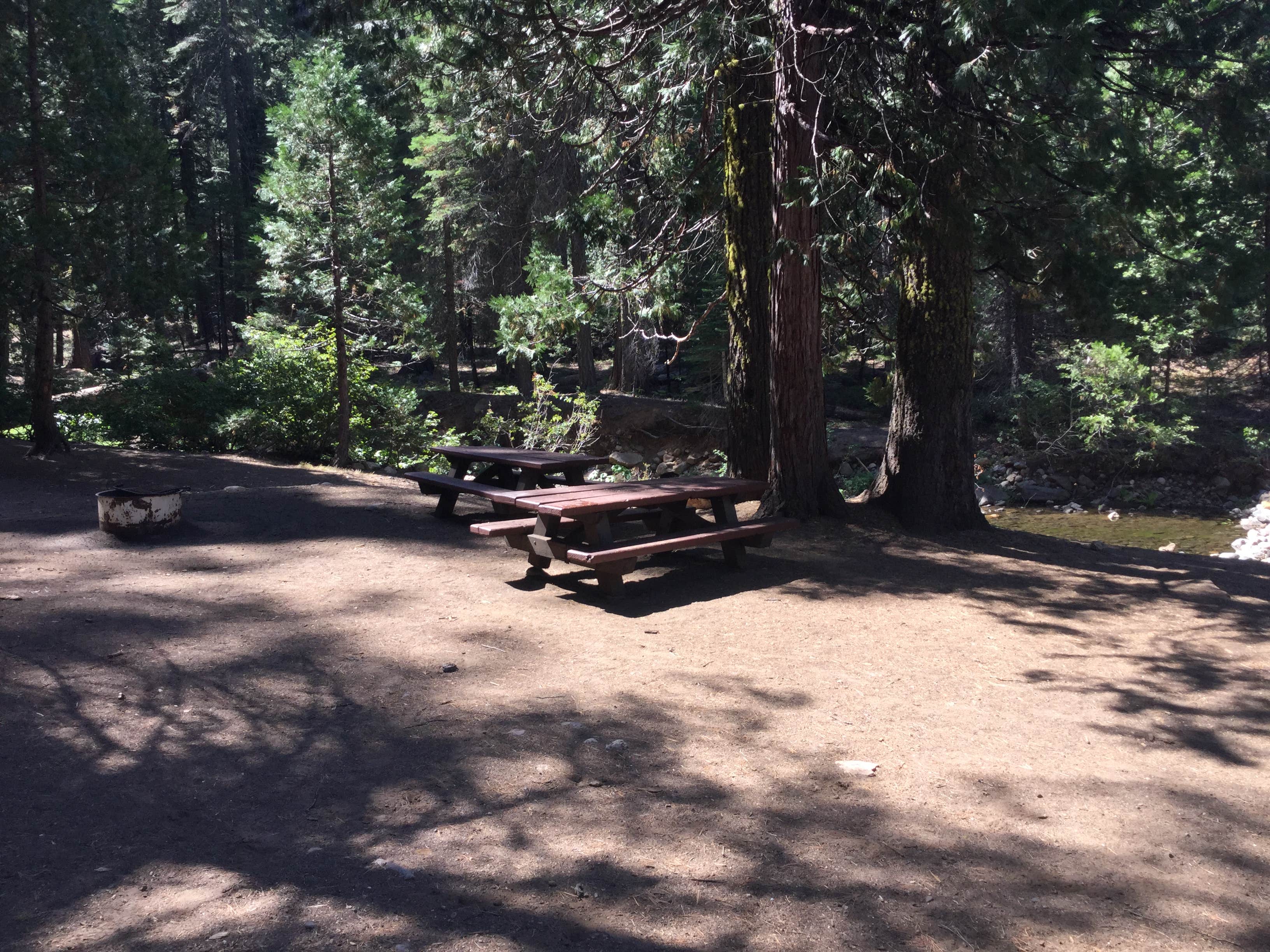 Camper submitted image from Middle Fork Cosumnes Campground - 3