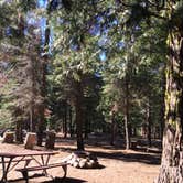 Review photo of Middle Fork Cosumnes Campground by Stephen K., June 18, 2019