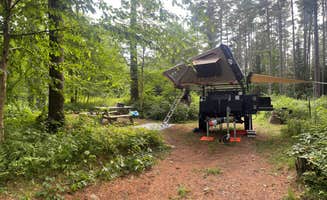 SHEILA D.'s photo at Adirondack Adventure Base near Childwold, NY