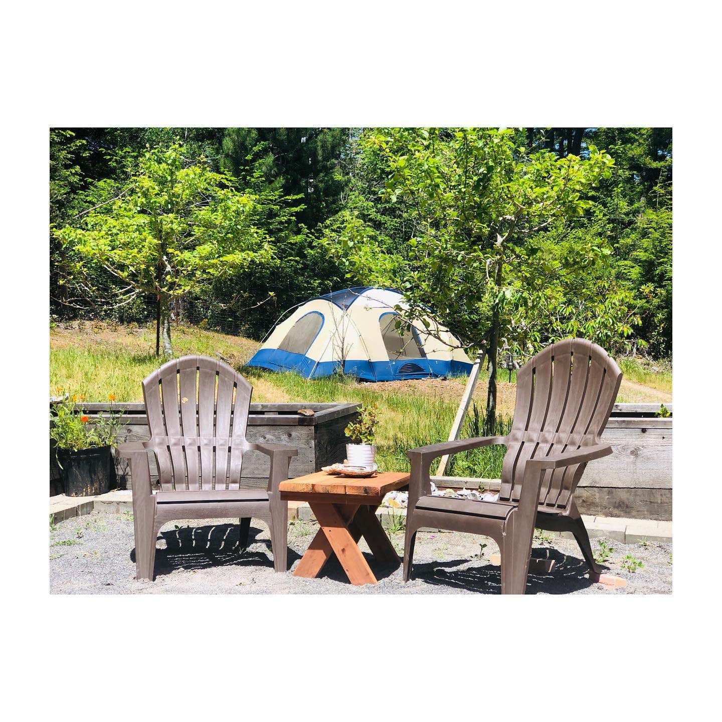 Leslie C.'s photo at Buckridge Grove near Gualala, CA