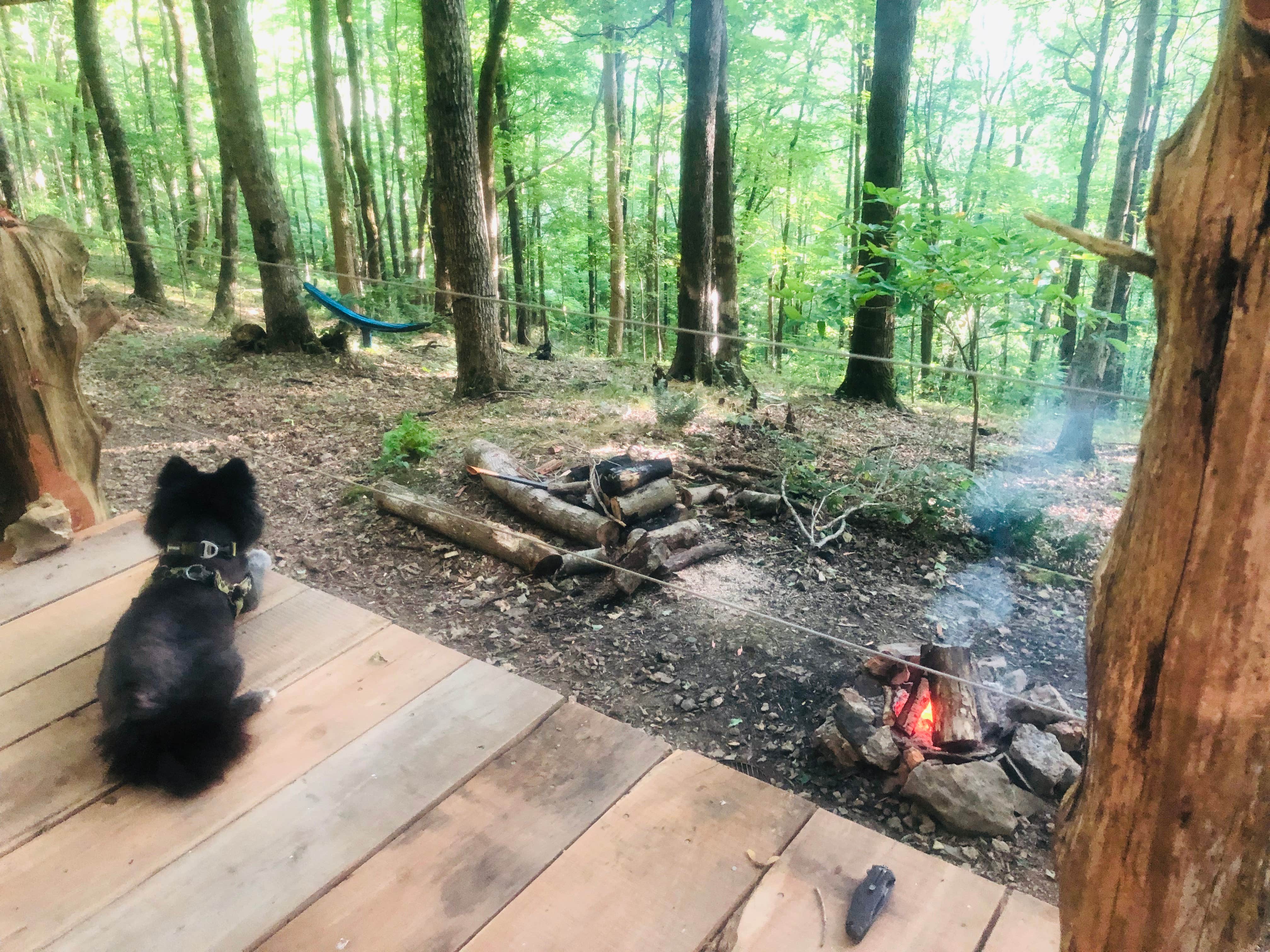 Camper-submitted photo at Beech Hollow Hideout near Lancaster, TN